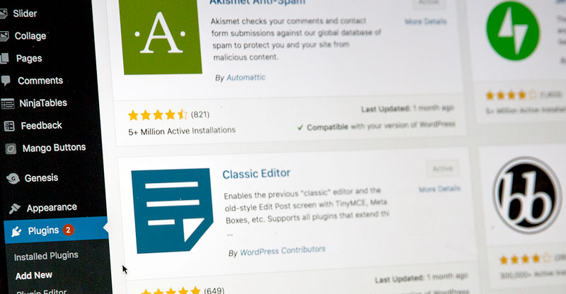 technical skills course: wordpress development course